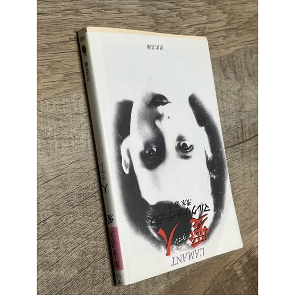 L'AMANT Marguerite Duras Japanese Edition 430920077X Hardcover 1985/6/1 Kawade - Picture 3 of 3